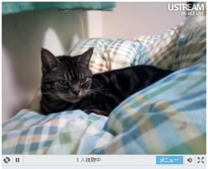 ustream-xperia-cat